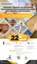 Seminario: “Situación actual y desafíos de los cuidados paliativos en México”
